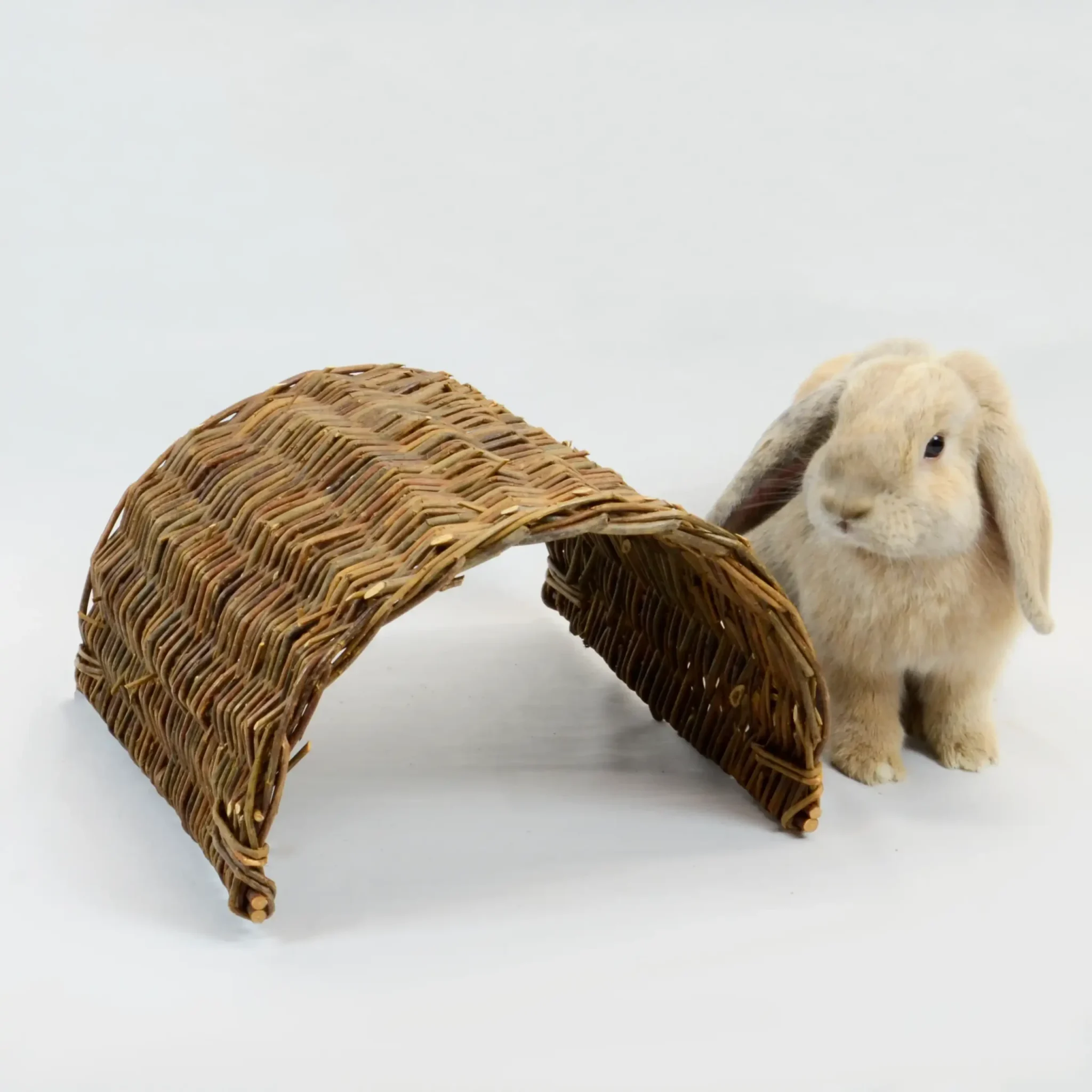 Koop online producten voor jouw konijn!
